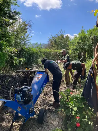 Servicio de Chipeado