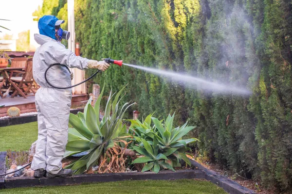 Fumigación orgánica en parcelas