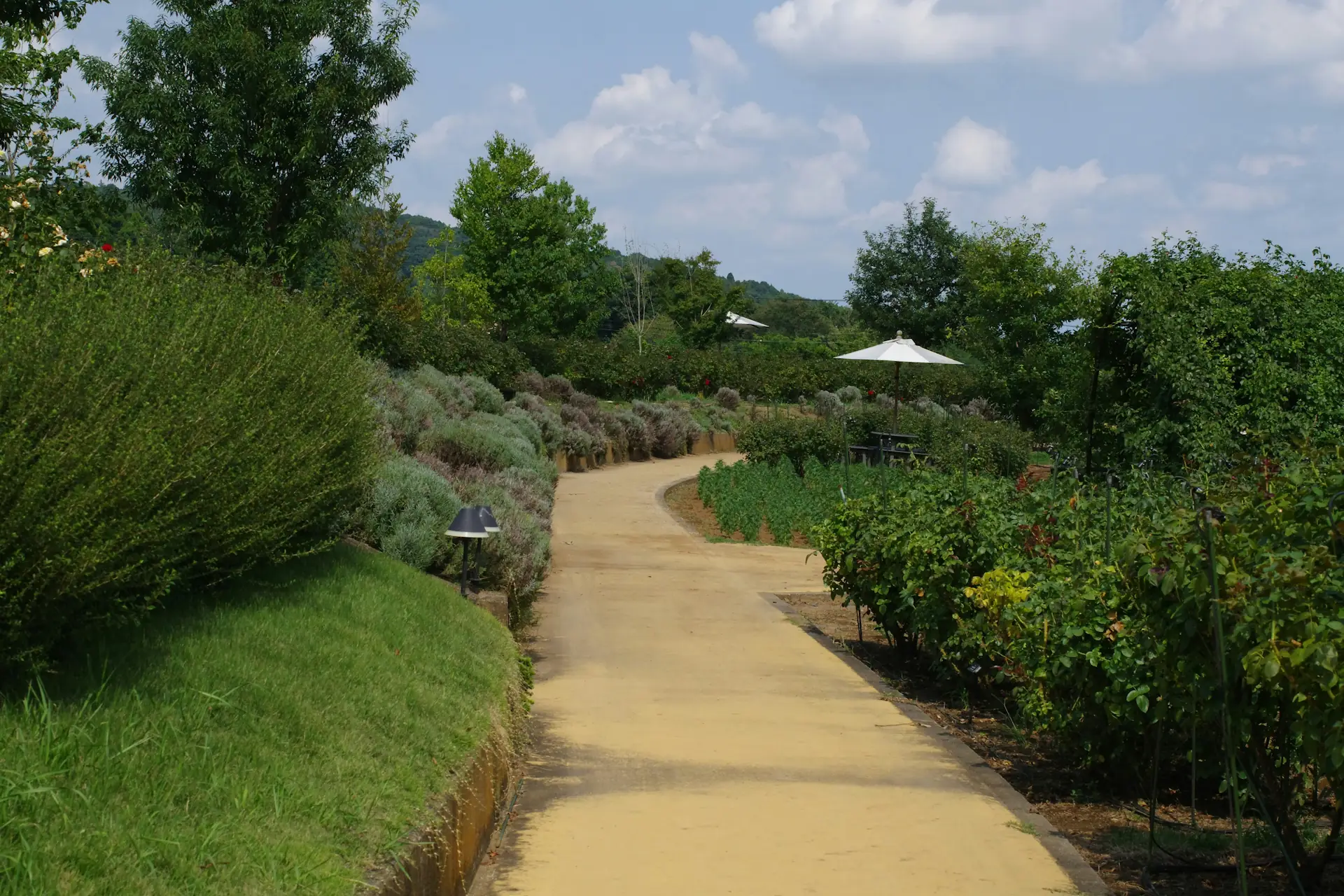 Consejos de Jardinería y Control de Plagas