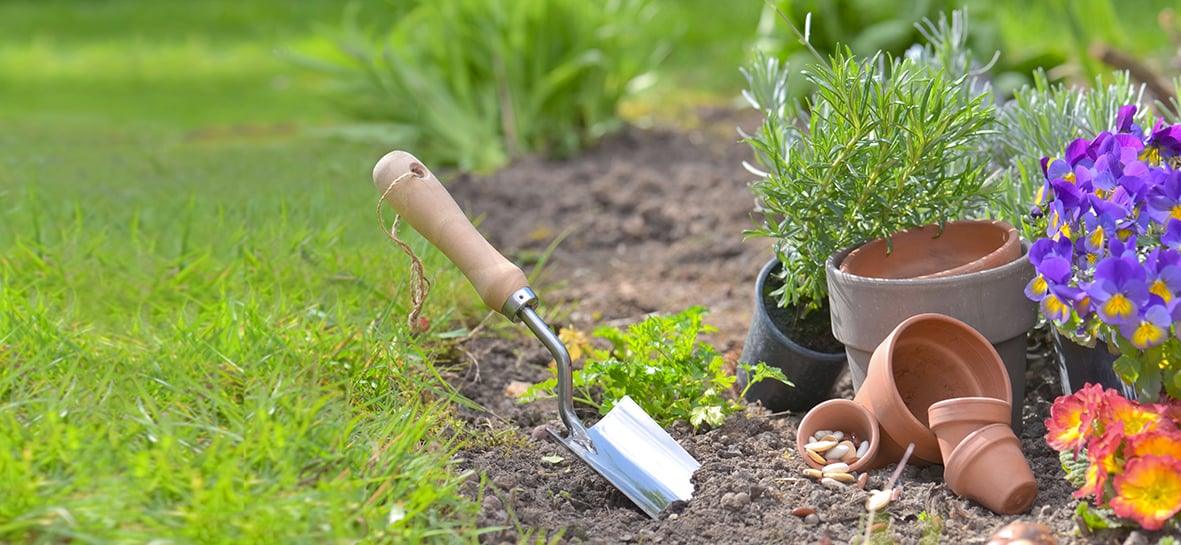 Mantención y diseño de jardines