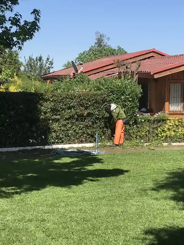 Mantención de Jardines