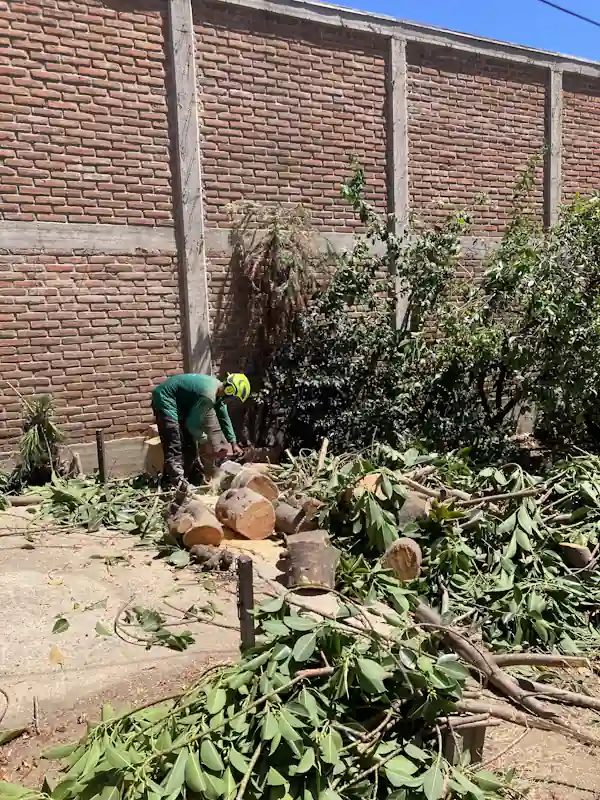 Retiro de Material y Escombros