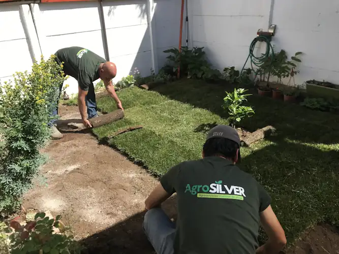Instalación de Pasto en Rollo